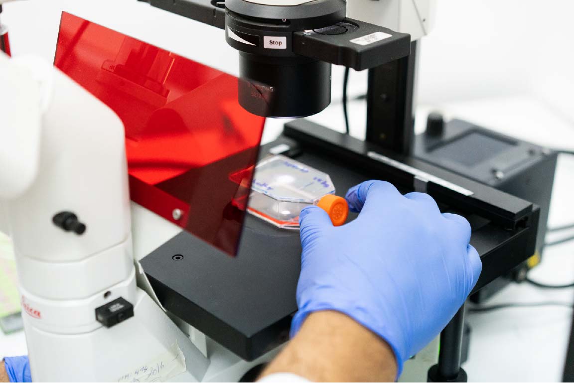 Sous-direction de la formation et de la recherche